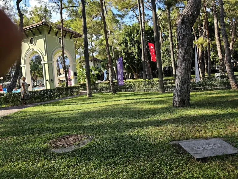 Game garden - Photo 4