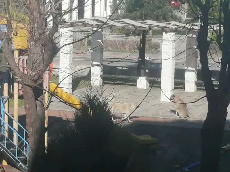 Gazeteci N. Sevgi Taner Parkı - Photo 4
