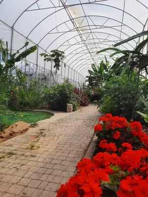 Gazi̇pasa Belediyesi Tropikal Park