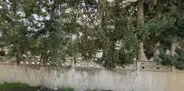 Gazipaşa Halı Yıkama