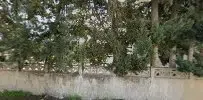 Gazipaşa Halı Yıkama - Photo 1
