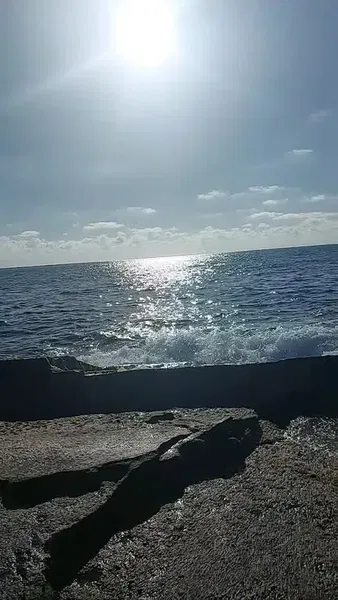 Gazipaşa Mango Beach Kır Düğün Bahçesi - Photo 6