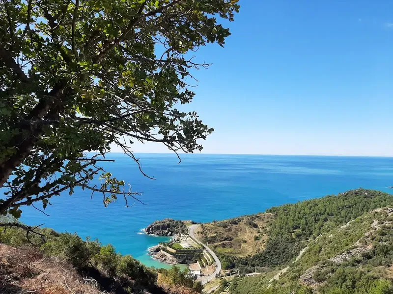 Gazi̇paşa Seyi̇r Tepesi̇ - Photo 7