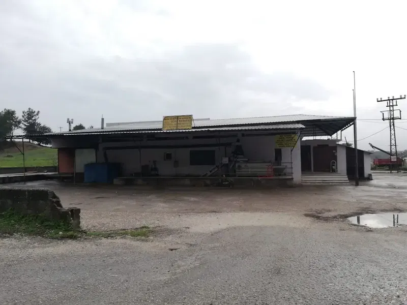 Gebi̇z Kooperati̇f Zeyti̇n Yaği Fabri̇kasi - Photo 1