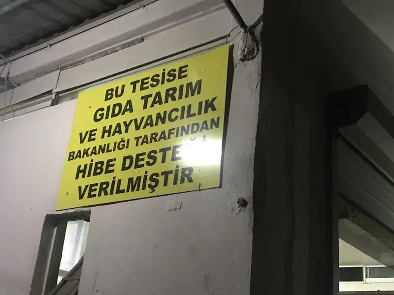 Gebi̇z Kooperati̇f Zeyti̇n Yaği Fabri̇kasi - Photo 5