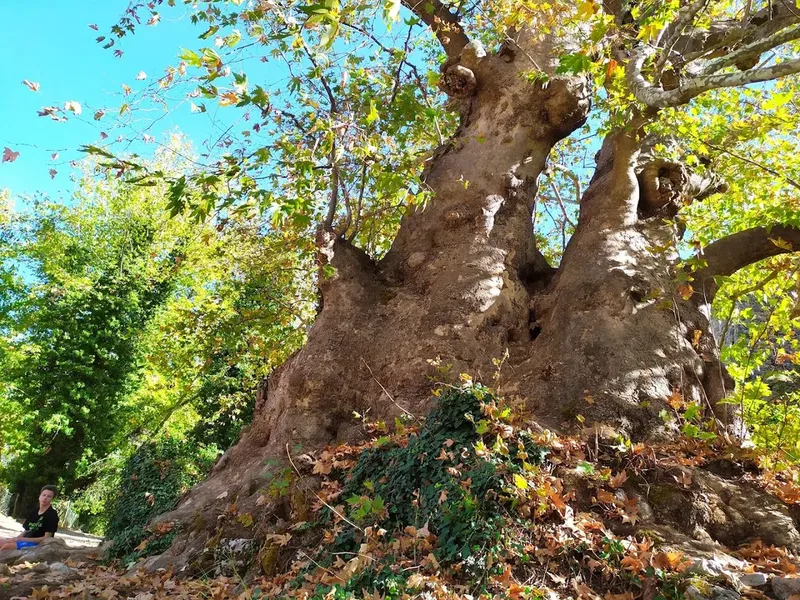 Gedelme Castle - Photo 6