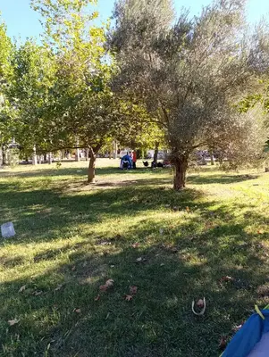 Gelemiş ücretsiz kamp alanı