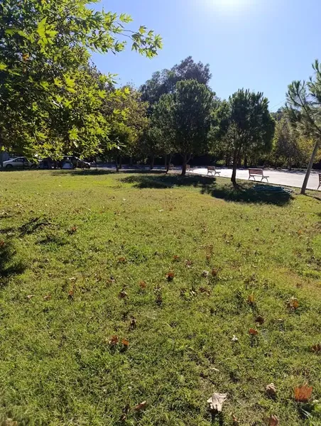 Gelemiş ücretsiz kamp alanı - Photo 2