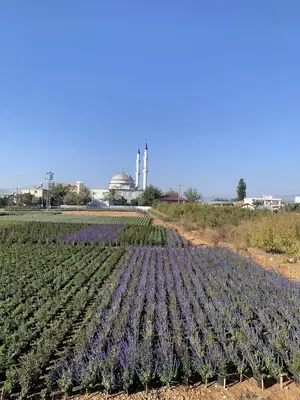 Geo Garden Peyzaj Ltd.Şti