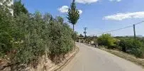 Geyik bayırı çeşme (içme suyu) - Photo 2