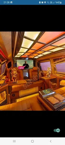 Golden Orange Transfer - Photo 9