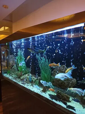Grand Alanya Hamam