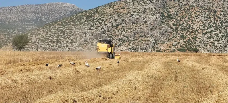 Gökhan Kaya LeyLek Tarım Çiftliği - Photo 3