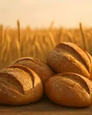 Göktaşlar İpek Un Fabri̇kasi