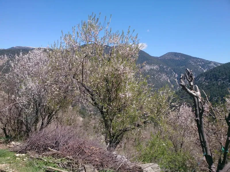 Göktaşlar yerleşkesi - Photo 6