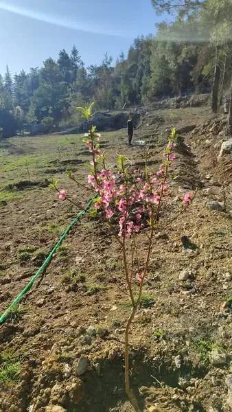 Gökyüzü durağı - Photo 6