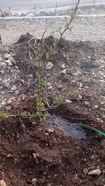 Gökyüzü durağı - Photo 8