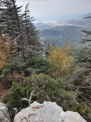 Göllü Yaylası