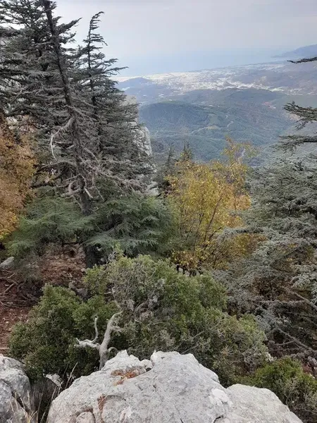 Göllü Yaylası - Photo 1