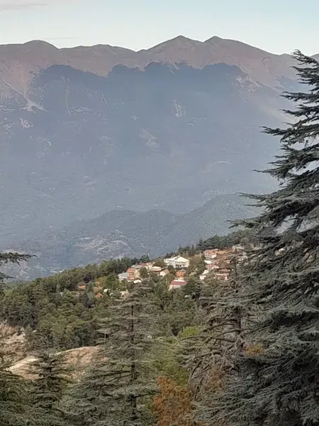 Göllü Yaylası - Photo 6