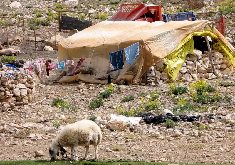 Gömbe Yaylası - Photo 6
