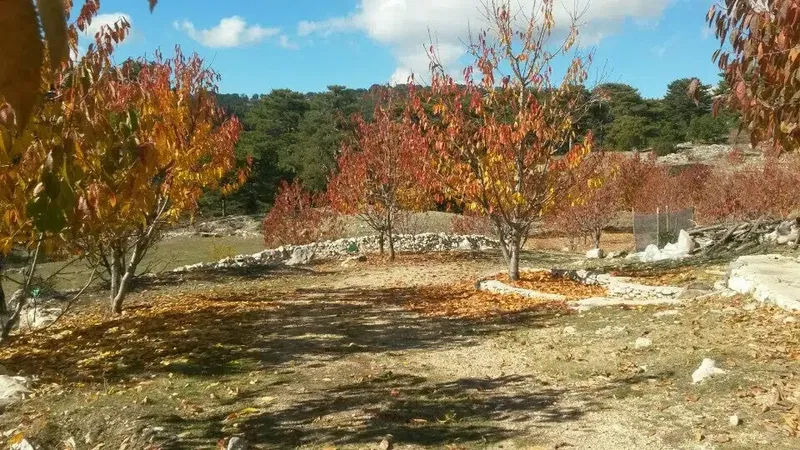 Gömlüce Yaylası - Photo 4