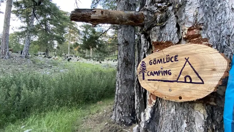 Gömlüce Yaylası - Photo 7