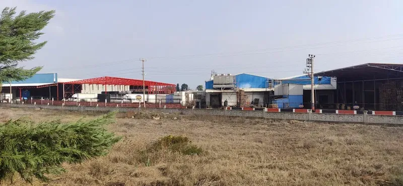 Görkem Tarım - Photo 4