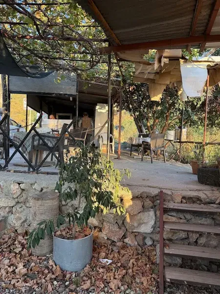 Gözleme - Photo 4
