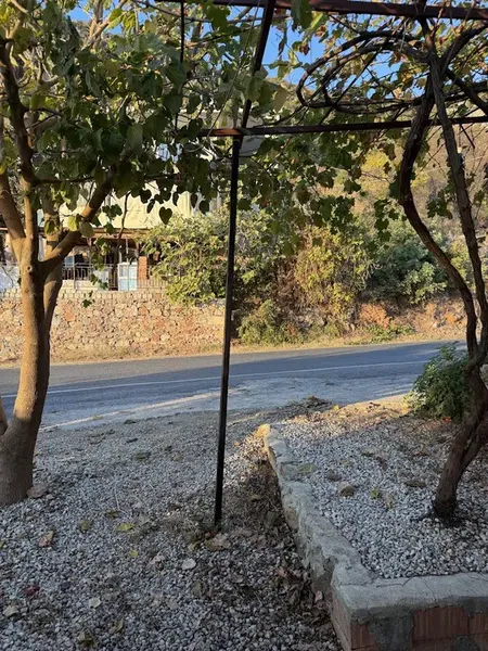 Gözleme - Photo 5