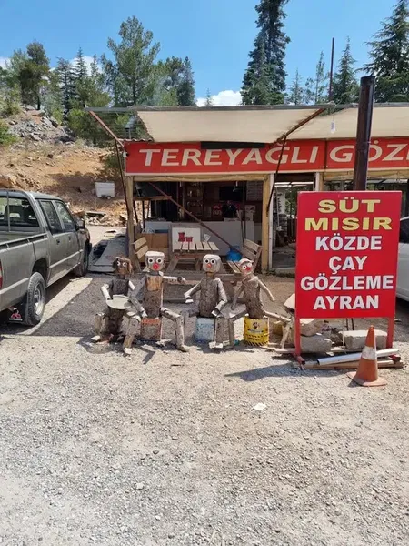 Gözlemeci - Photo 2