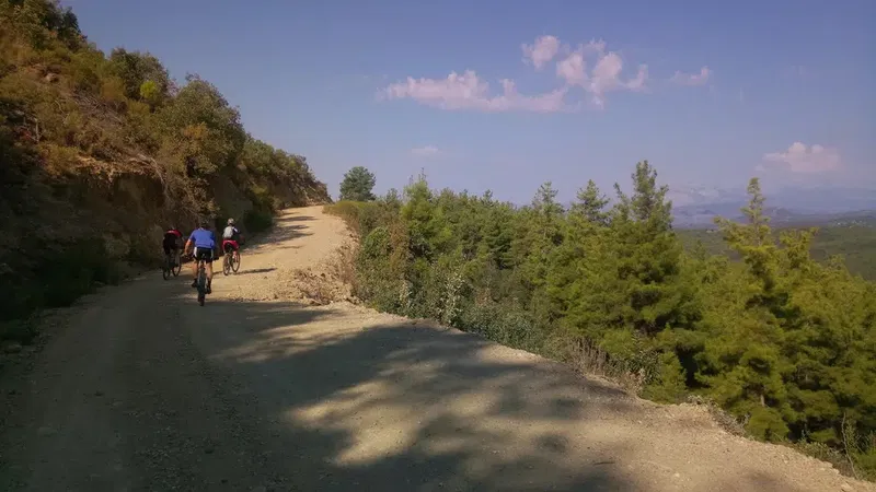 Göğü Yangın Kulesi - Photo 3