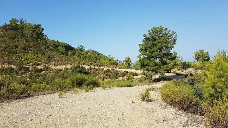 Göğü Yangın Kulesi - Photo 4