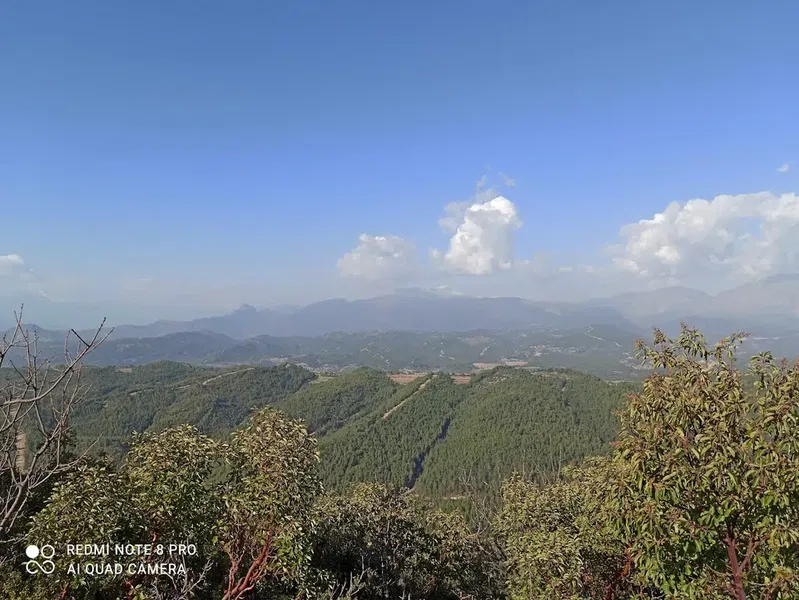 Göğü Yangın Kulesi - Photo 9