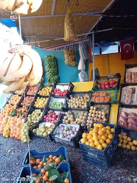 Gül Manav - Photo 5