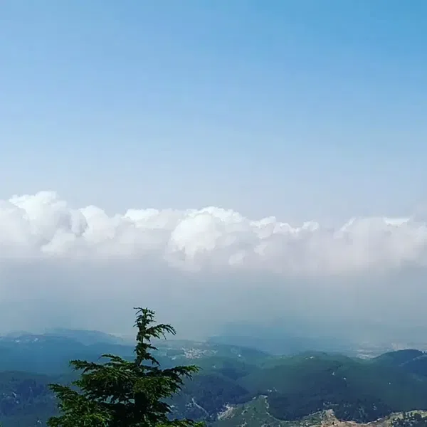 Gülen Dağ - Photo 8