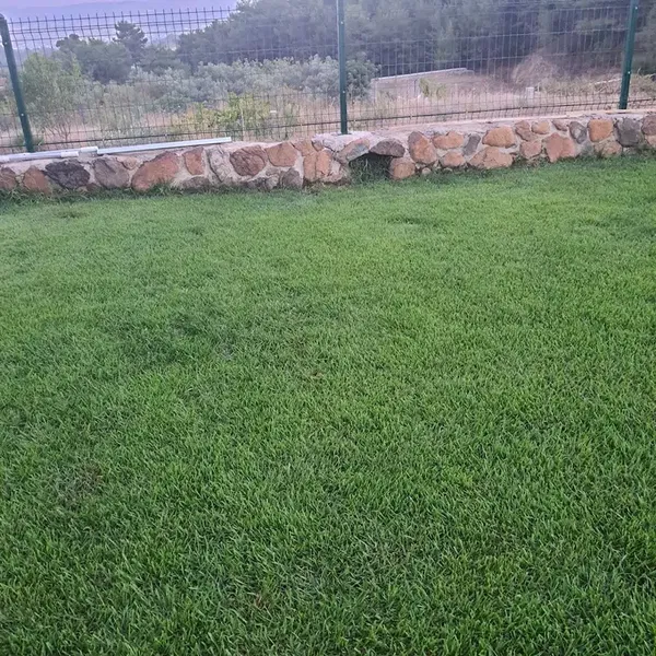 Gülgün Landscape - Photo 4