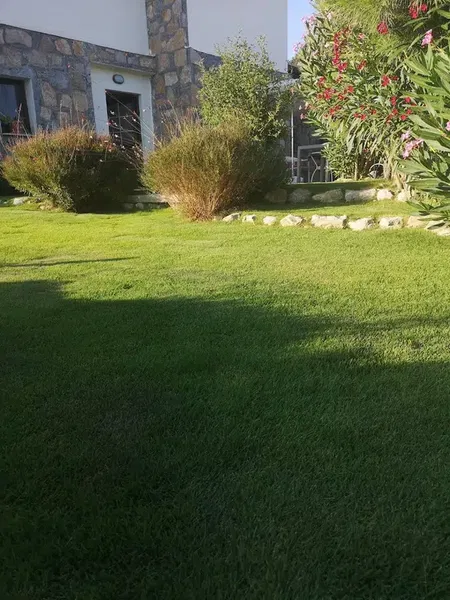 Gülgün Landscape - Photo 5