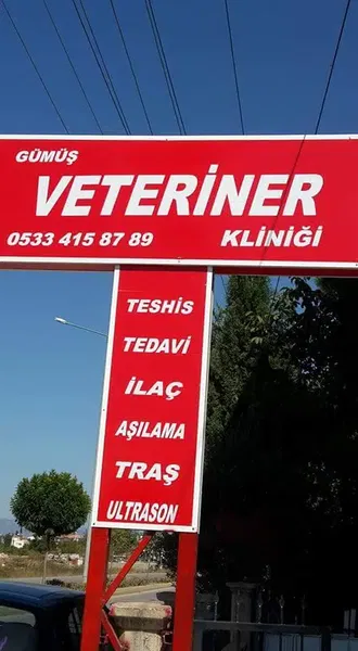 Gümüş Veteriner Kliniği - Photo 3