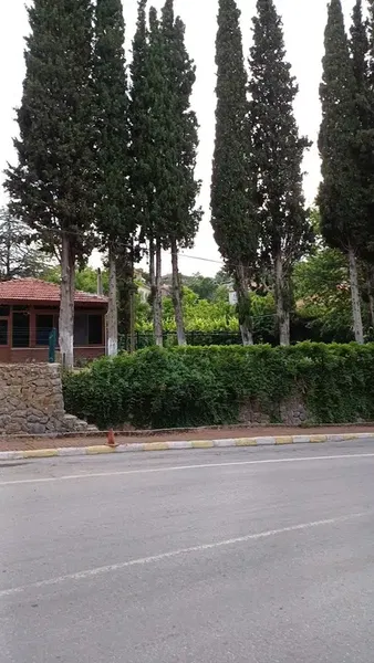 Gündoğmuş Orman İşletme Müdürlüğü - Photo 2