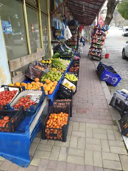 Gündoğmuş Orman İşletme Müdürlüğü - Photo 5