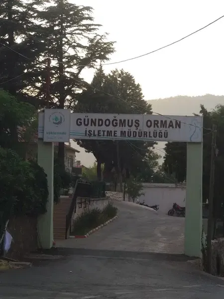 Gündoğmuş Orman İşletme Müdürlüğü - Photo 7