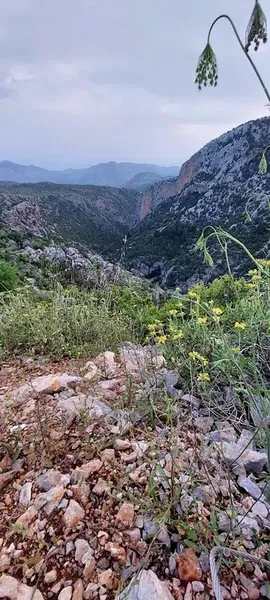 Gündoğmuş şehitliği - Photo 9