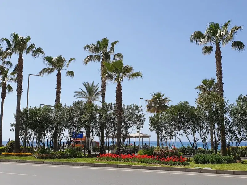 Güney Akdeniz - Photo 8