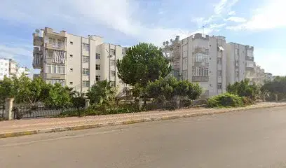 Güney Elektrik