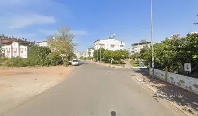 Güneş Hali Yikama - Photo 1