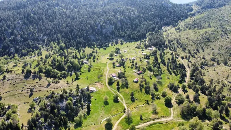 Günyaka Köyü Yaylası - Photo 3