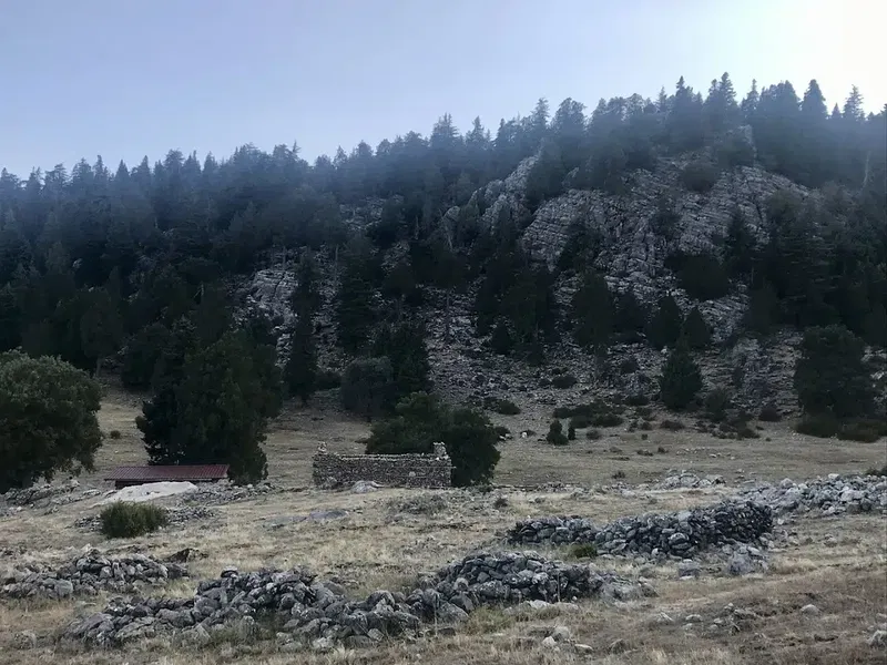 Günyaka Köyü Yaylası - Photo 5