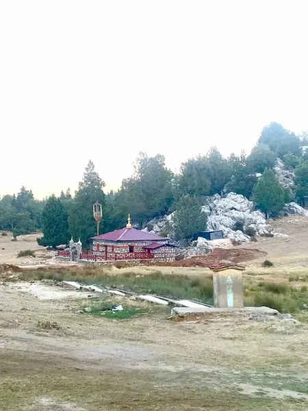 Günyaka Köyü Yaylası - Photo 7
