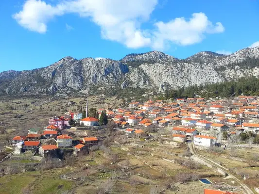Güzelsu Köyü Muhtarlığı